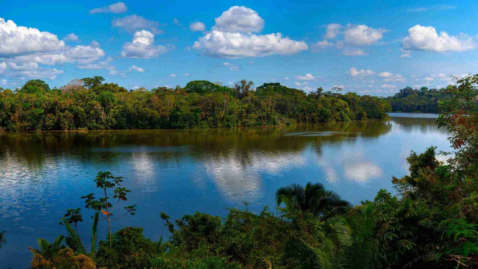 Tambopata Río paisaje reserva Nacional